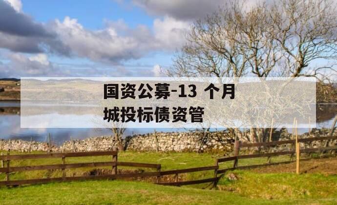 国资公募-13 个月城投标债资管