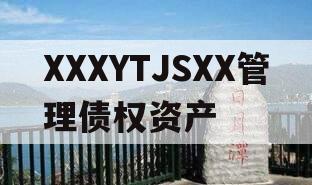 XXXYTJSXX管理债权资产