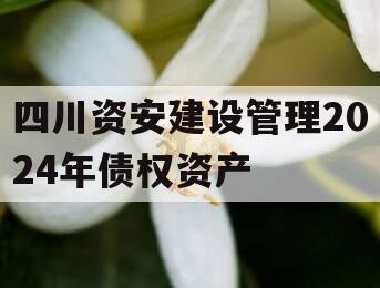 四川资安建设管理2024年债权资产