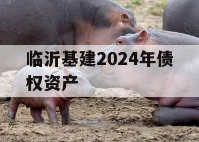 临沂基建2024年债权资产