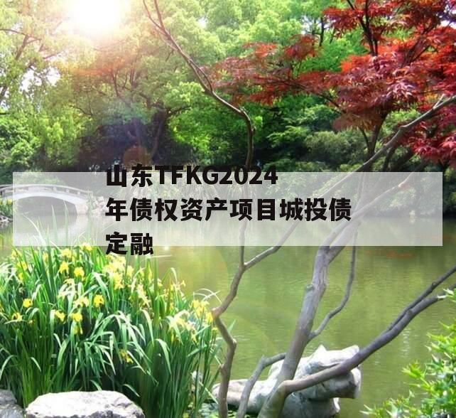 山东TFKG2024年债权资产项目城投债定融