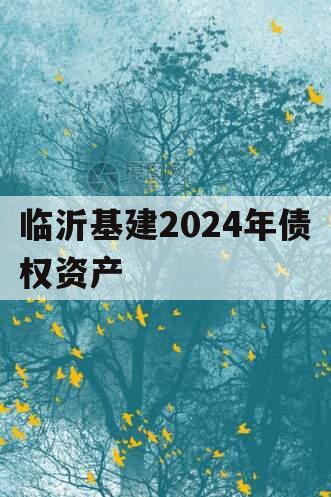 临沂基建2024年债权资产