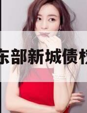 开封东部新城债权资产
