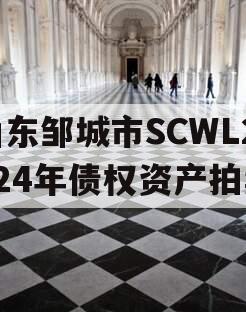 山东邹城市SCWL2024年债权资产拍卖