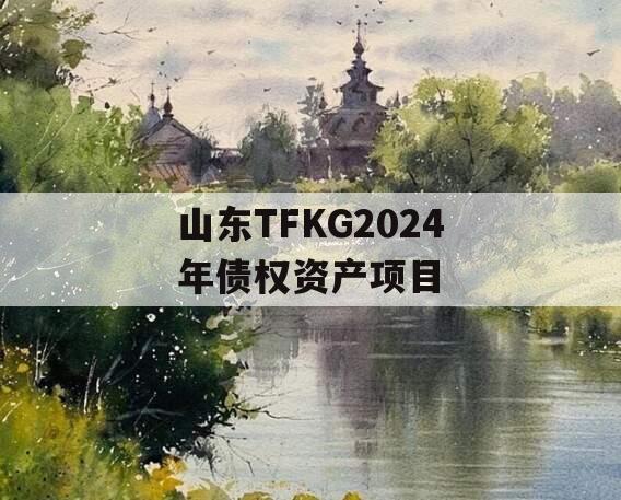 山东TFKG2024年债权资产项目