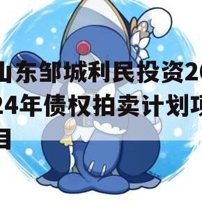 山东邹城利民投资2024年债权拍卖计划项目