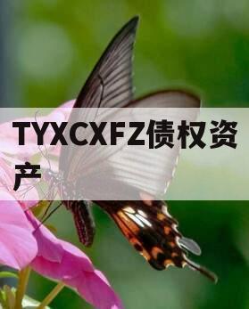 TYXCXFZ债权资产