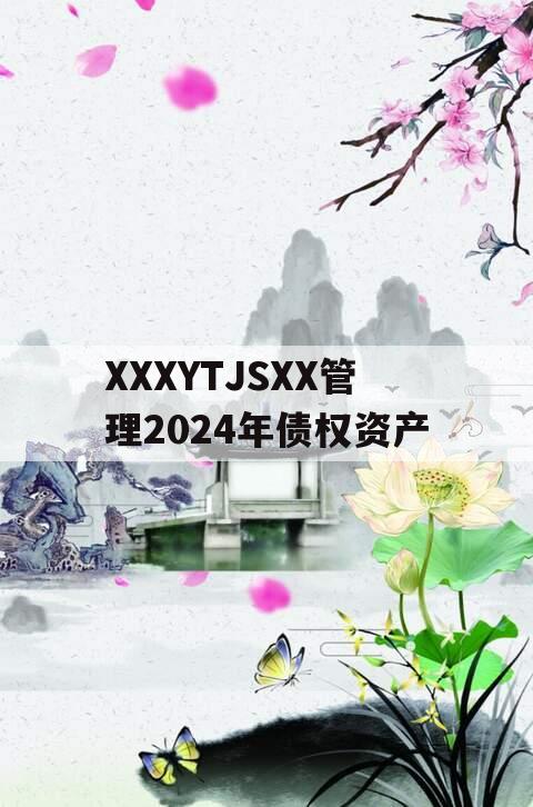 XXXYTJSXX管理2024年债权资产