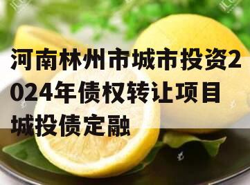 河南林州市城市投资2024年债权转让项目城投债定融