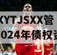 XXXYTJSXX管理2024年债权资产