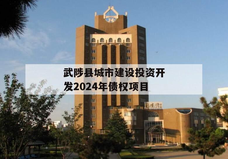 武陟县城市建设投资开发2024年债权项目