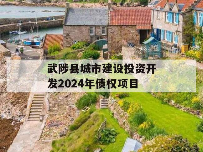 武陟县城市建设投资开发2024年债权项目