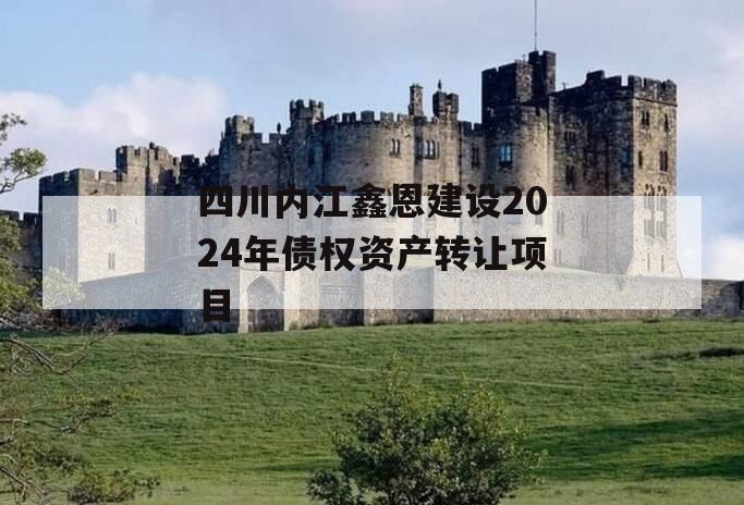 四川内江鑫恩建设2024年债权资产转让项目