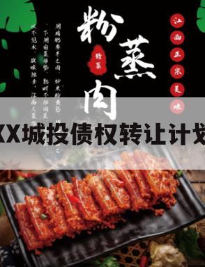 XX城投债权转让计划