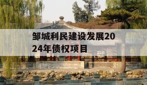 邹城利民建设发展2024年债权项目
