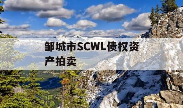 邹城市SCWL债权资产拍卖