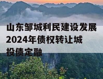 山东邹城利民建设发展2024年债权转让城投债定融