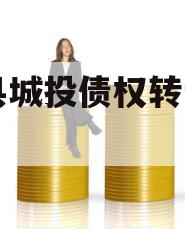 YS县城投债权转让项目