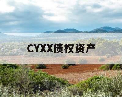 CYXX债权资产
