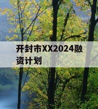 开封市XX2024融资计划