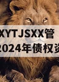 XXXYTJSXX管理2024年债权资产