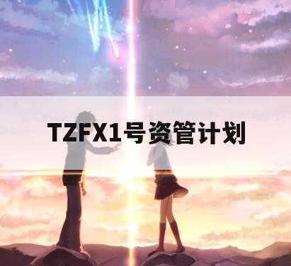 TZFX1号资管计划