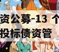国资公募-13 个月城投标债资管