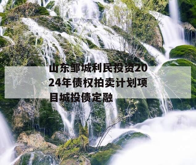 山东邹城利民投资2024年债权拍卖计划项目城投债定融