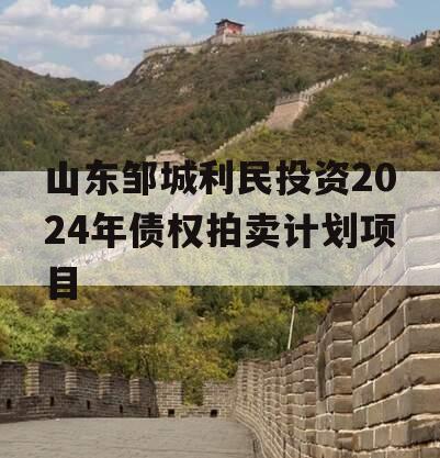 山东邹城利民投资2024年债权拍卖计划项目