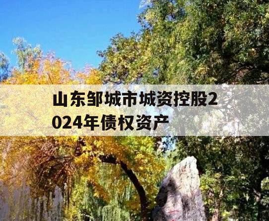 山东邹城市城资控股2024年债权资产
