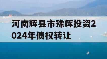 河南辉县市豫辉投资2024年债权转让