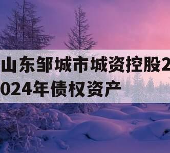 山东邹城市城资控股2024年债权资产
