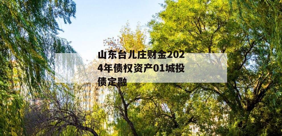 山东台儿庄财金2024年债权资产01城投债定融