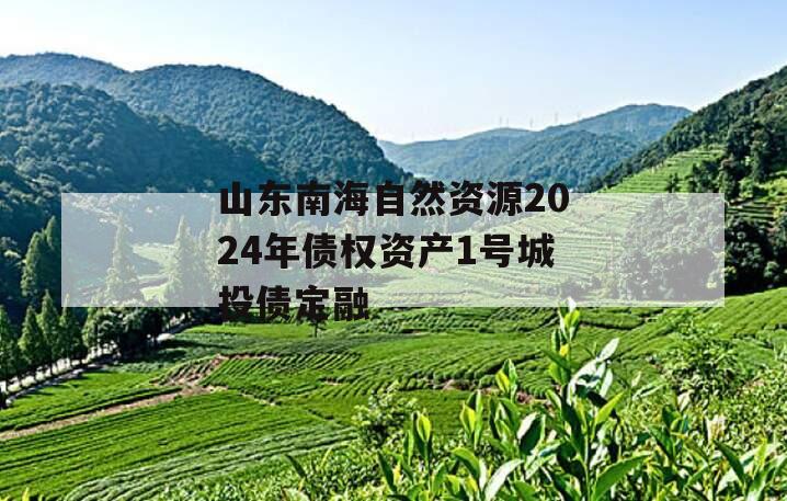 山东南海自然资源2024年债权资产1号城投债定融