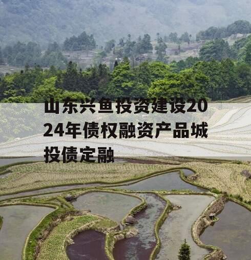 山东兴鱼投资建设2024年债权融资产品城投债定融