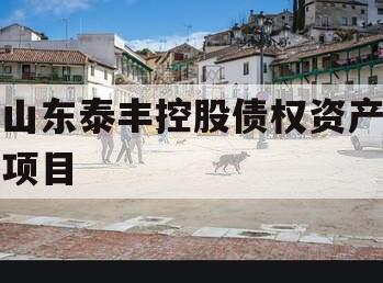 山东泰丰控股债权资产项目