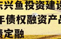 山东兴鱼投资建设2024年债权融资产品城投债定融