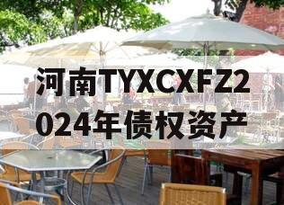 河南TYXCXFZ2024年债权资产