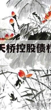 济南天桥控股债权资产项目