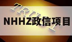 NHHZ政信项目