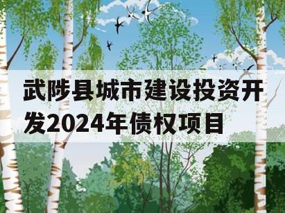 武陟县城市建设投资开发2024年债权项目
