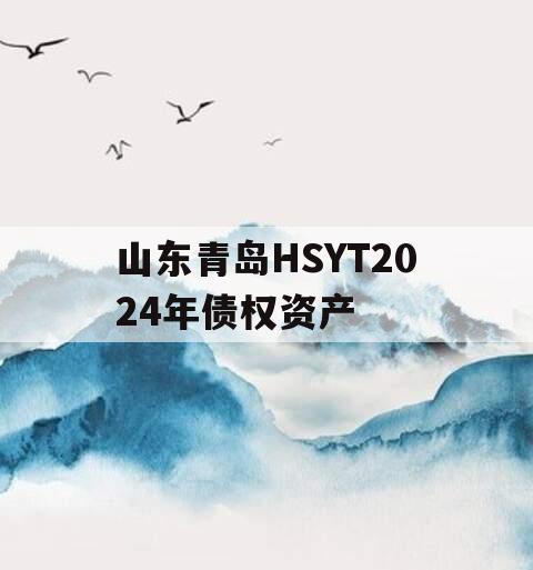 山东青岛HSYT2024年债权资产