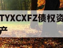 TYXCXFZ债权资产