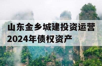 山东金乡城建投资运营2024年债权资产