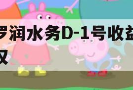 罗润水务D-1号收益权