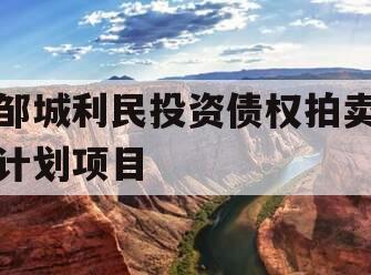邹城利民投资债权拍卖计划项目