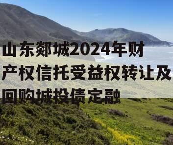 山东郯城2024年财产权信托受益权转让及回购城投债定融