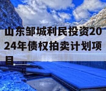 山东邹城利民投资2024年债权拍卖计划项目