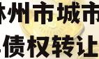 河南林州市城市投资2024年债权转让协议