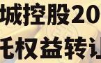 JN西城控股2024年信托权益转让计划